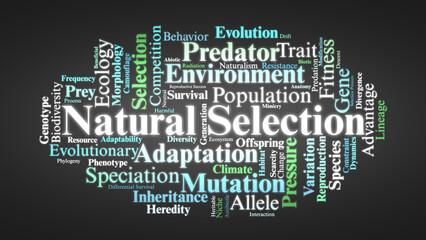 Natural Selection Word Cloud. Core Concepts In Evolution, Adaptation, Traits, And Survival
