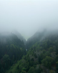 misty mountain valley, evergreen forest, dense forest, cloudy sky, mountain landscape, valley view, foggy mountains, nature scenery, wilderness, serene landscape, forested valley, mountain terrain, 