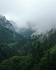 misty mountain valley, evergreen forest, dense forest, cloudy sky, mountain landscape, valley view, foggy mountains, nature scenery, wilderness, serene landscape, forested valley, mountain terrain, 