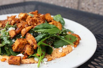 fried chicken breast with rice