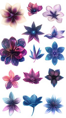 Fototapeta premium Set of abstract and stylized flowers isolated 