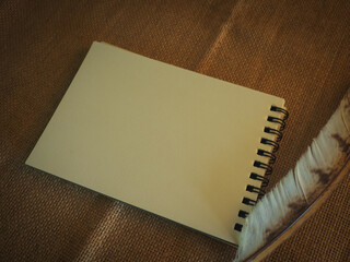 A blank notebook and feathers for a vintage-style copying area.      