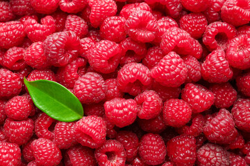 Fresh ripe raspberries and leaf as background, top view