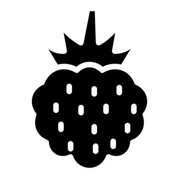 Raspberry icon