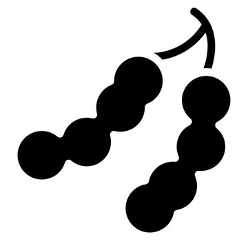 tamarind Icon