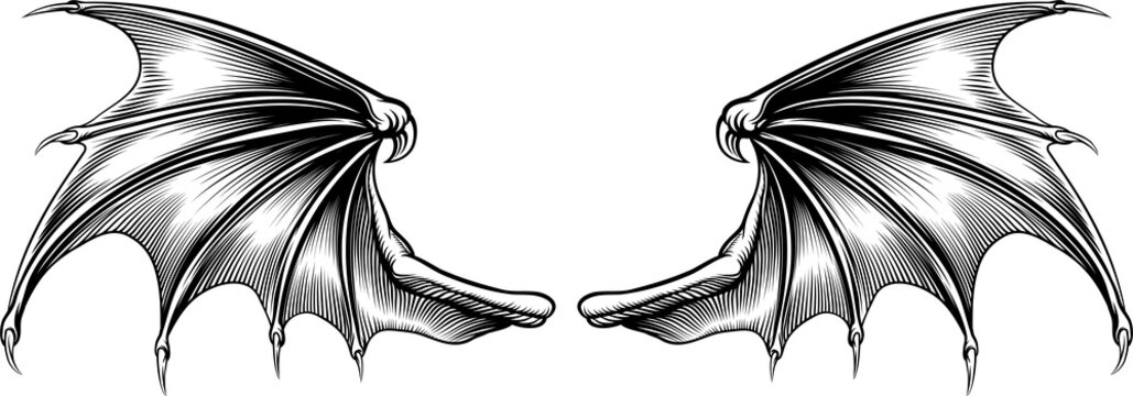 A pair of spread bat dragon, devil, vampire or demon wings drawing in a vintage retro woodcut style
