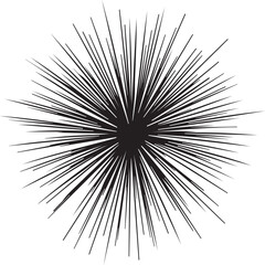 Fototapeta premium Abstract black spiky starburst explosion on white background