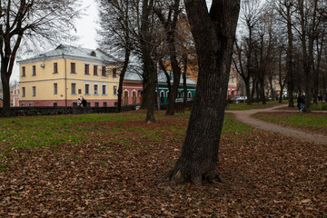 An overcast day in a city park with leafless trees and distant buildings. 