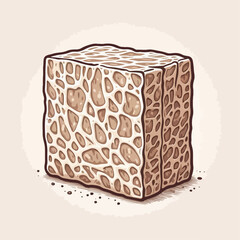 Vector illustration of raw tempeh