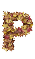 Autumn Leaf Letter P Typography Design for Seasonal Posters, Fall Greeting Cards, Classroom Alphabet Charts, Scrapbooking Projects, Rustic Branding and Nature-Inspired Decorative Fonts 