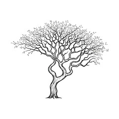 Black and white illustration of a tree with sprawling branches and small leaves against a plain white background.