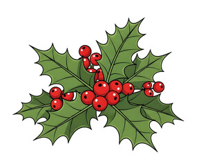 Christmas Holly leaves with Red Berries transparent