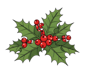 Christmas Holly leaves with Red Berries transparent