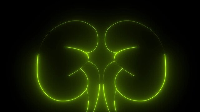 The appearance of neon symbol kidneys. Elements of Medicine in neon style icons. 4k Kidney animation by lime green neon on black background. The kidney was divided into the right and left halves
