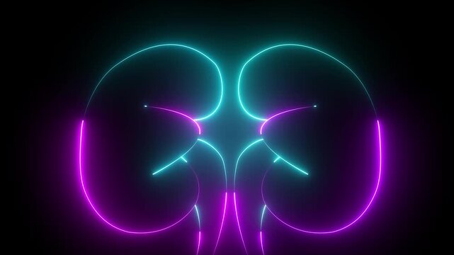 The appearance of neon symbol kidneys. Elements of Medicine in neon style icon. 4k Kidney animation by cyan and purple neon on black background.The kidney was divided into the right and left halves