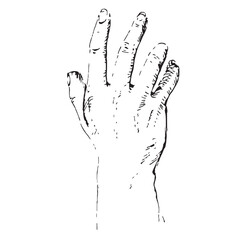 Detailed Hand-Drawn Human Hand Vector Illustration in Vintage Engraving and Hatching Style, Open Palm Reaching or Grasping Gesture.