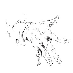 Detailed Hand-Drawn Human Hand Vector Illustration in Vintage Engraving and Hatching Style, Open Palm Reaching or Grasping Gesture.