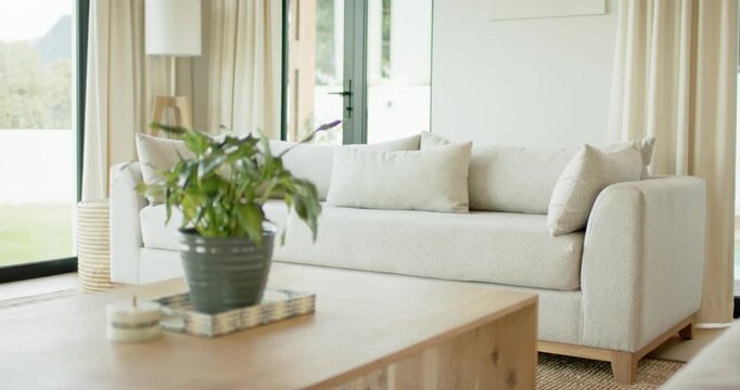 Lens focusing on potted green plant while cycling autofocus and panning right to reveal sofa