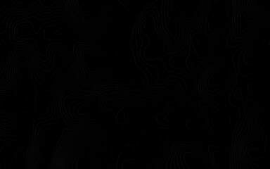 Vector white and black line luxury organic pattern. Japanese style abstract wave, elegant water, contour, topography, cloud elegant texture. Premium fancy minimal template.