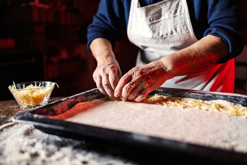 Woman's hands preparing homemade dough with cheese