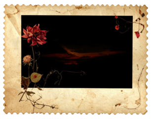 Aged floral frame with dark sky view