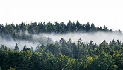 misty morning in the mountains