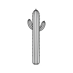 Minimalist saguaro cactus line art illustration showcasing a clean desert feel Vector illustration