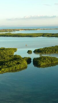Scenic landscape with mangroves forest. Turquoise water in Olango Island. Wildlife preserve in Lapu-Lapu, Philippines. Cebu. Vertical view.