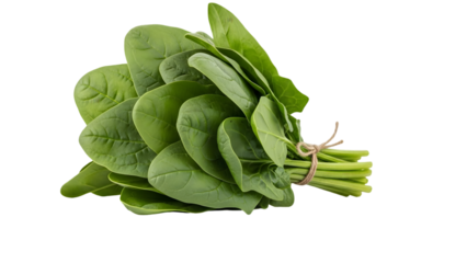 Fresh spinach leaves pile vibrant green color healthy food element isolated on transparent background