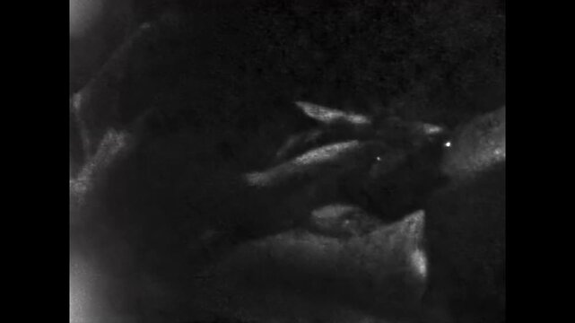 Old archive, man passionately kissing woman in bed. Romantic young couple spends time together in bedroom. Hot kisses full of lust and excitement. Romance. Retro film 1960s. Vintage archive.