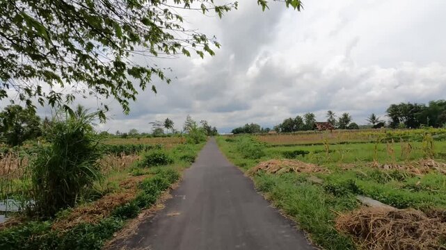 Wide Road POV Riding Through Rice Fields &ndash; Day Light - Java, Indonesia, South East Asia - November 16th 2025 - POV Motorcycle Riding