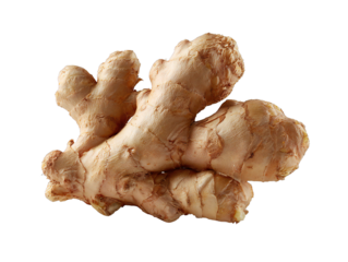 Fresh ginger root rhizome, aromatic spice ingredient isolated on white background