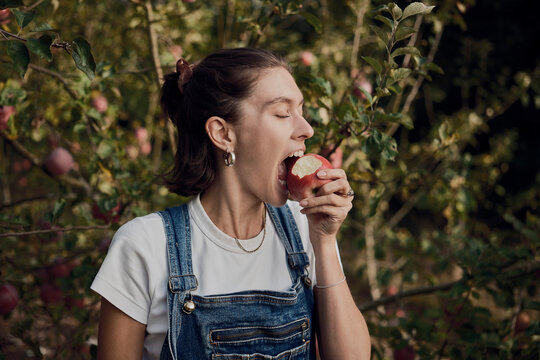 Woman laughing and eating apple in orchard during harvest