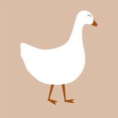 Cute domestic goose isolated on beige background. Vector illustration.