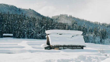 A solitary Gasshō-zukuri house in a wide, snow-covered field, backed by a dense, snow-covered coniferous forest and mountains © HABI ANGGARA PUTRA