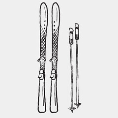 Fototapeta premium Hand drawn skis with bindings and ski poles, featuring crisscross design and vertical layout. Vector sketch illustration in vintage crayon charcoal style. Winter sports equipment, mountain vacation