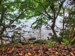 A sunny day at the beach in Ilha bela, Brazil.