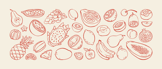 Fototapeta premium Doodle set of different tropical fruits. Various exotic foods: apples, bananas, oranges, pineapple and berries. Fresh, organic and natural eating. Hand drawn outline isolated vector illustrations