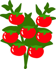Tomato Plant, Vegetable Flat Style Illustration