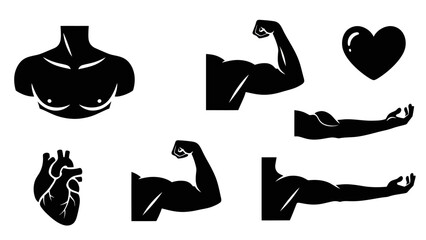 Black silhouette illustrations of human anatomy parts and heart shape