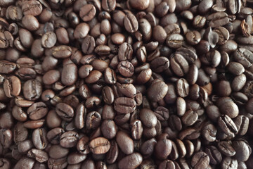 Assortment of Roasted Coffee Beans for Cafe s and Beverage Innovation