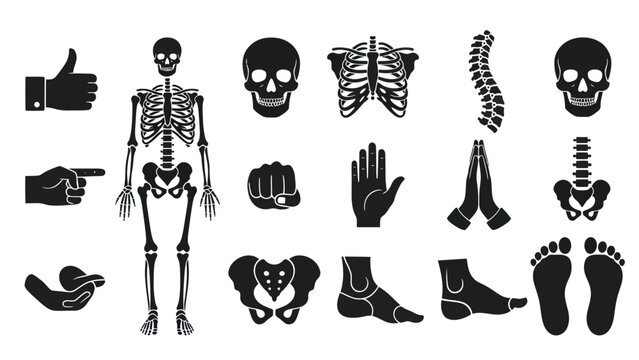 Anatomy icons set skeleton bones body parts in black and white