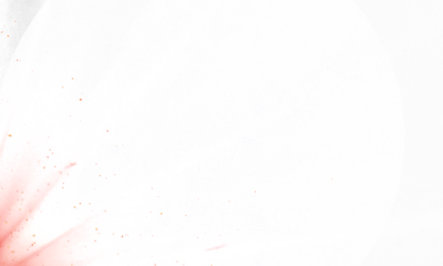 light leak overlay effect with scratch dust and motion blur light leaks, retro noisy film texture light leak flare, abstract background with red ray. transparent background png