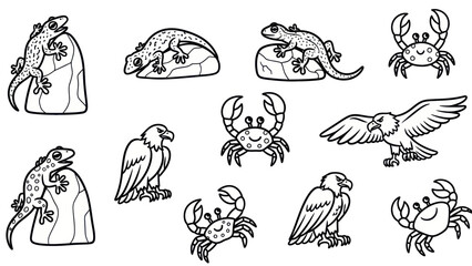 Black and white illustrations of animals reptiles and sea creatures