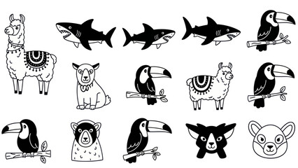Black and white animal illustrations llama shark toucan bear sheep collection © Gwe