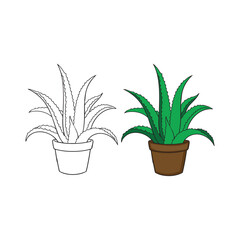 A plant in a pot vector illustration