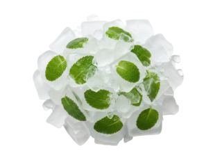 Isolated heap of clear ice cubes with fresh green mint leaves for drinks and garnishes