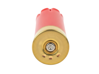 Isolated red and gold shotgun shell, a cartridge used in shotguns against a plain backdrop