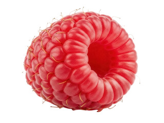 Isolated closeup of a fresh and ripe red raspberry, a healthy and juicy summer fruit