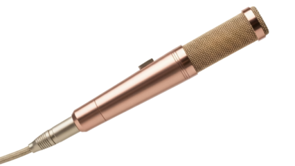 Isolated condenser microphone, a popular choice for vocal recording and broadcast studios